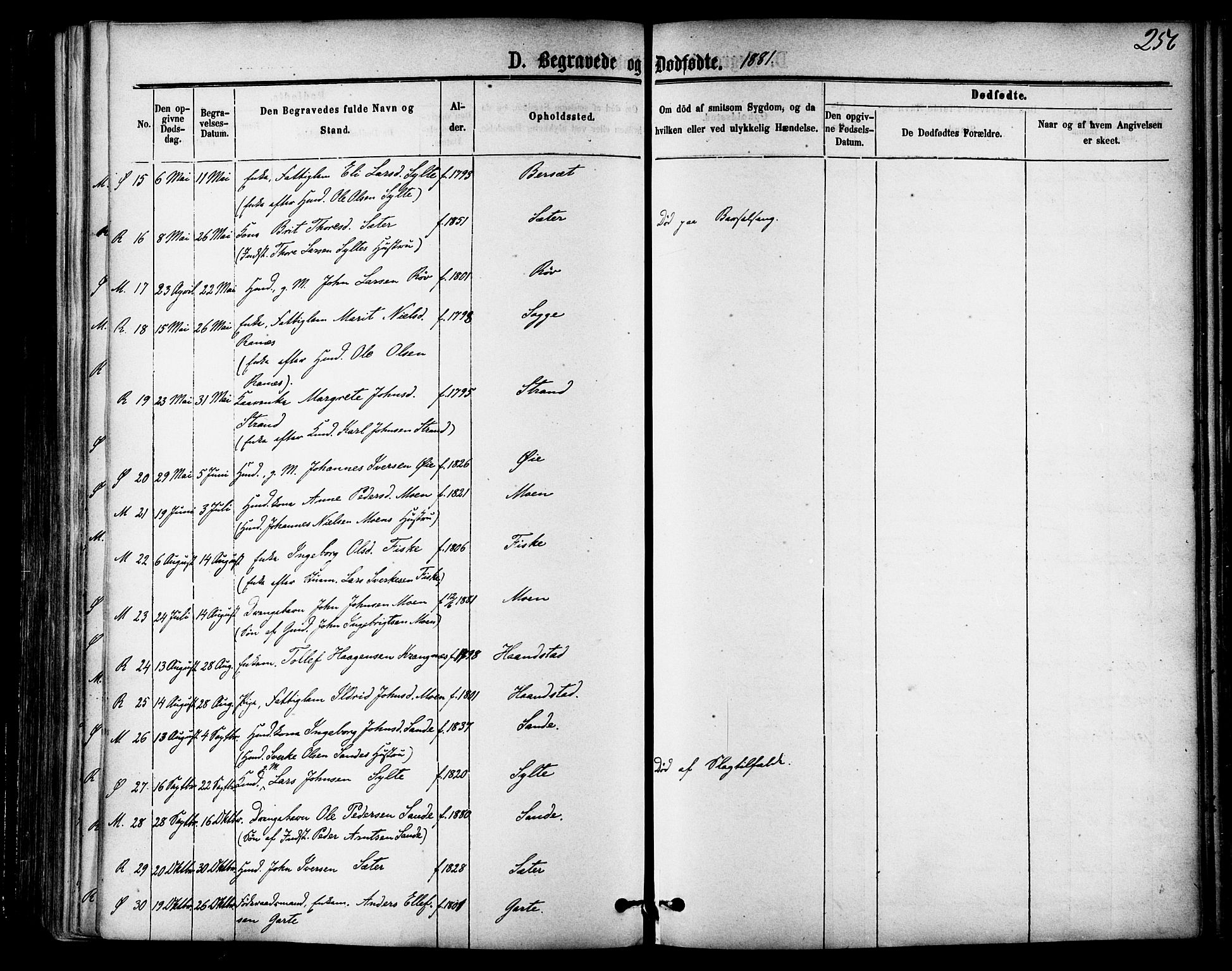 Ministerialprotokoller, klokkerbøker og fødselsregistre - Møre og Romsdal, SAT/A-1454/595/L1046: Ministerialbok nr. 595A08, 1874-1884, s. 256