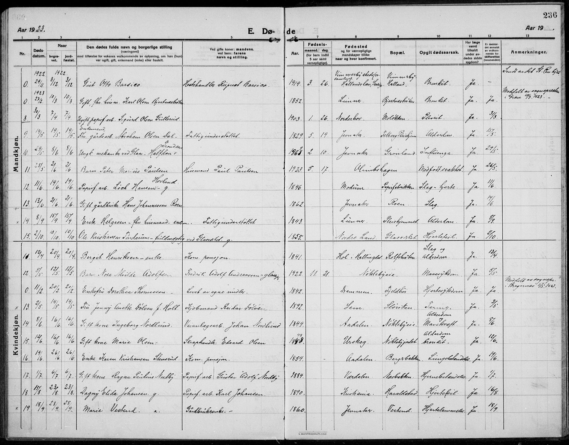 Jevnaker prestekontor, SAH/PREST-116/H/Ha/Haa/L0012: Ministerialbok nr. 12, 1914-1924, s. 236