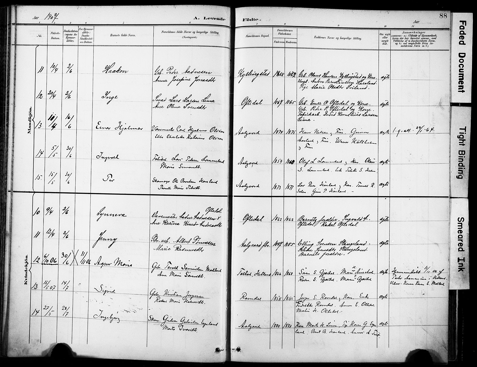 Lye sokneprestkontor, AV/SAST-A-101794/001/30BA/L0012: Ministerialbok nr. A 11, 1896-1909, s. 88
