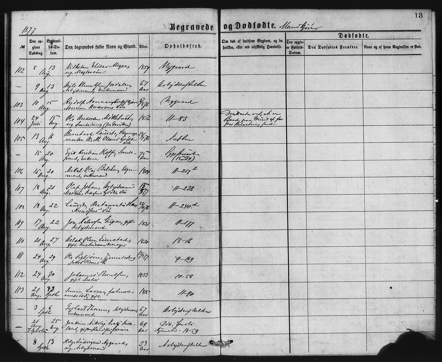 Domkirken sokneprestembete, AV/SAB-A-74801/H/Haa: Ministerialbok nr. E 4, 1877-1881, s. 13