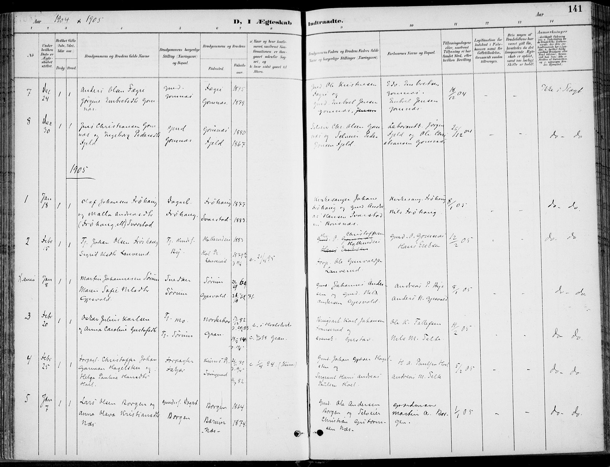 Hole kirkebøker, SAKO/A-228/F/Fa/L0009: Ministerialbok nr. I 9, 1892-1907, s. 141