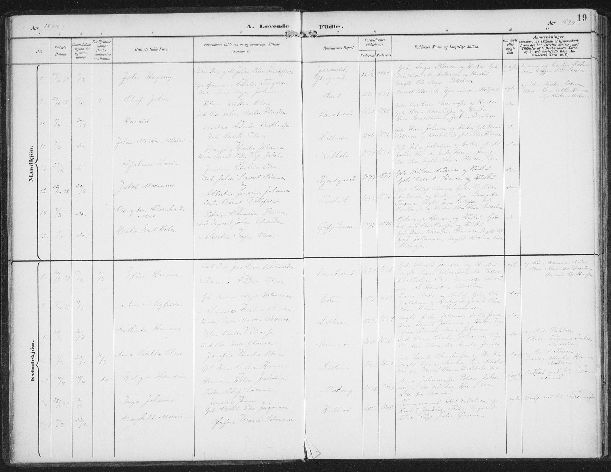 Lenvik sokneprestembete, AV/SATØ-S-1310/H/Ha/Haa/L0015kirke: Ministerialbok nr. 15, 1896-1915, s. 19
