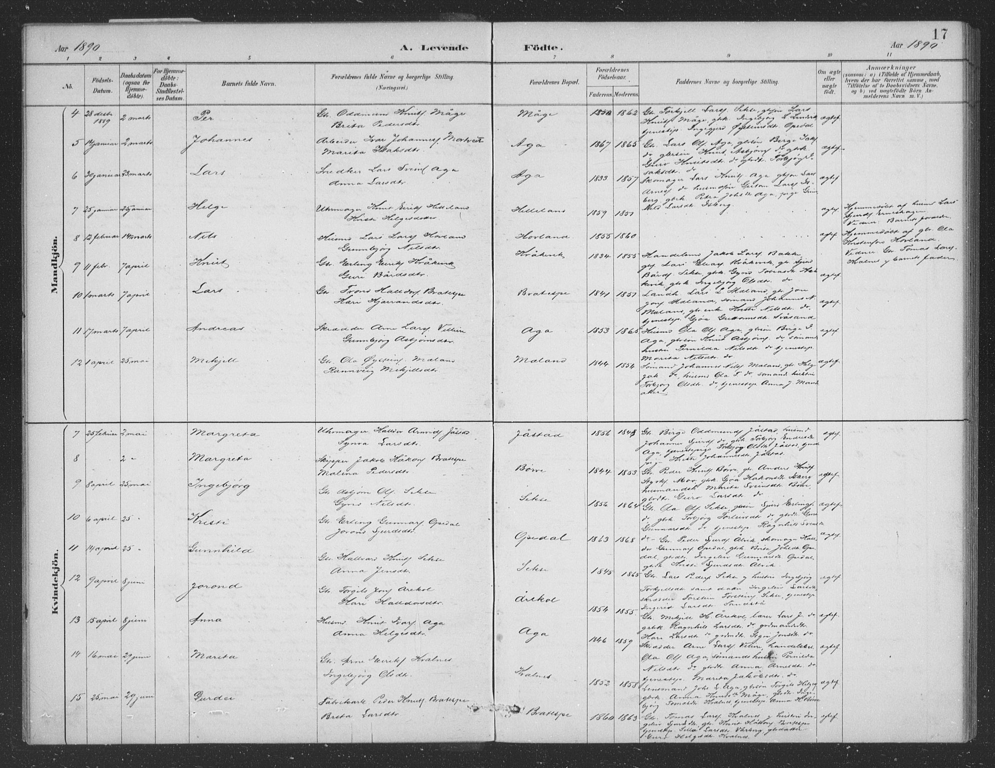 Ullensvang sokneprestembete, SAB/A-78701/H/Hab: Klokkerbok nr. B 11, 1887-1939, s. 17