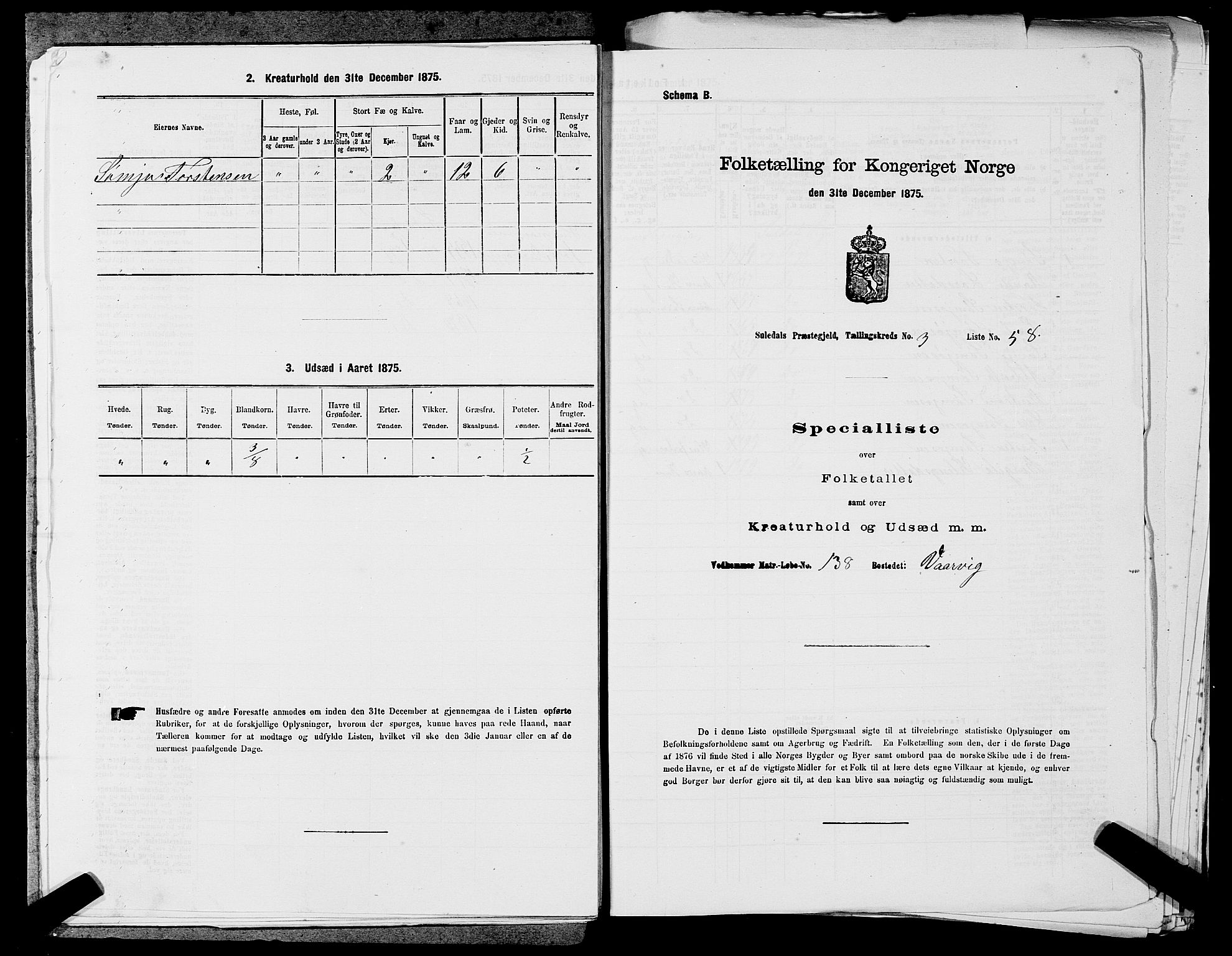 SAST, Folketelling 1875 for 1134P Suldal prestegjeld, 1875, s. 497