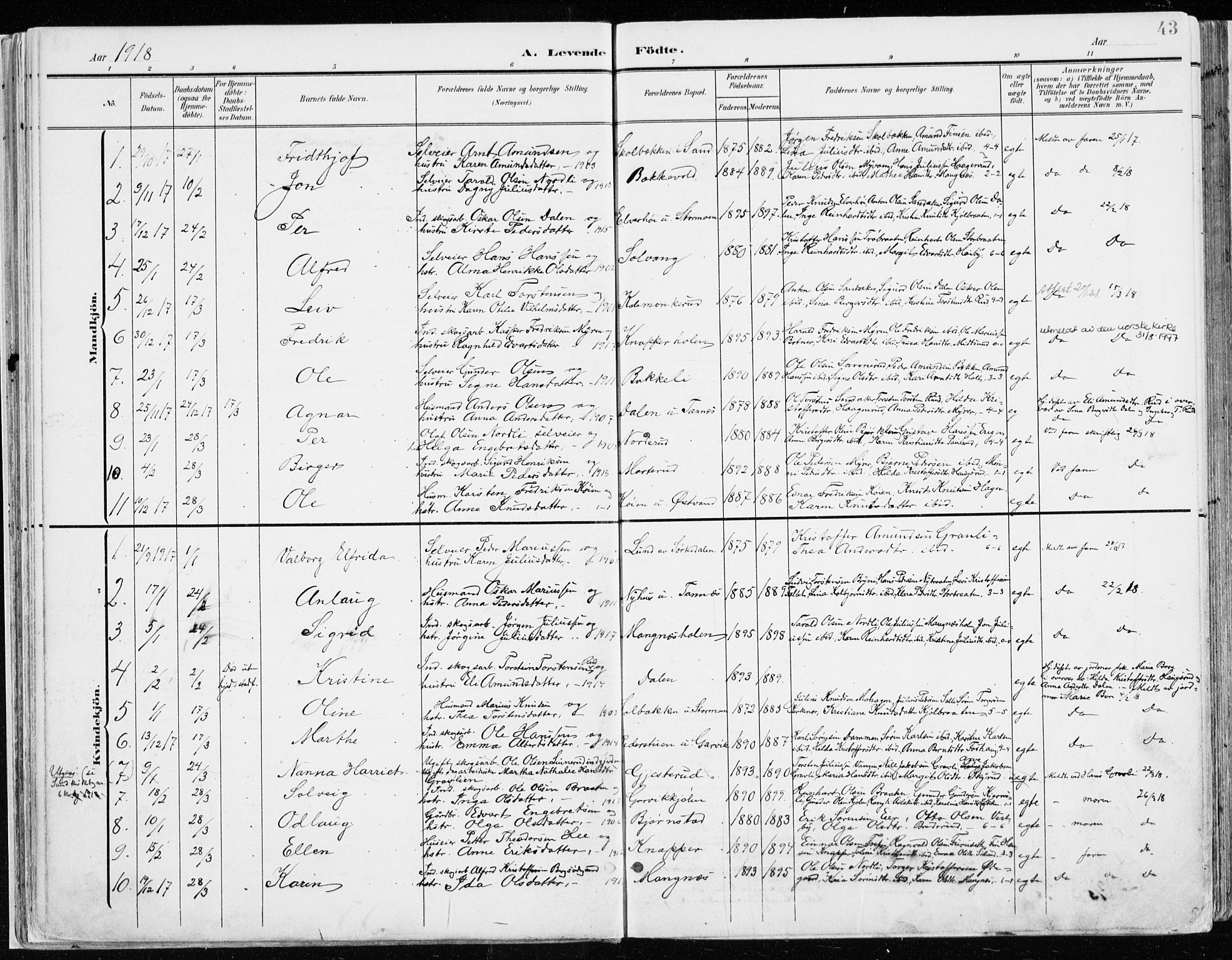 Nord-Odal prestekontor, AV/SAH-PREST-032/H/Ha/Haa/L0009: Ministerialbok nr. 9, 1902-1926, s. 43