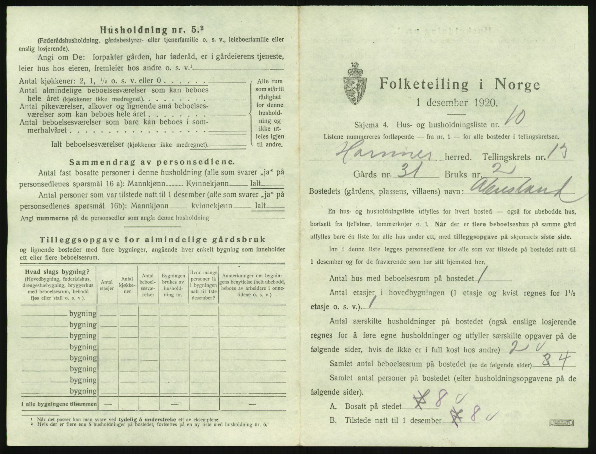 SAK, Folketelling 1920 for 0936 Hornnes herred, 1920, s. 523