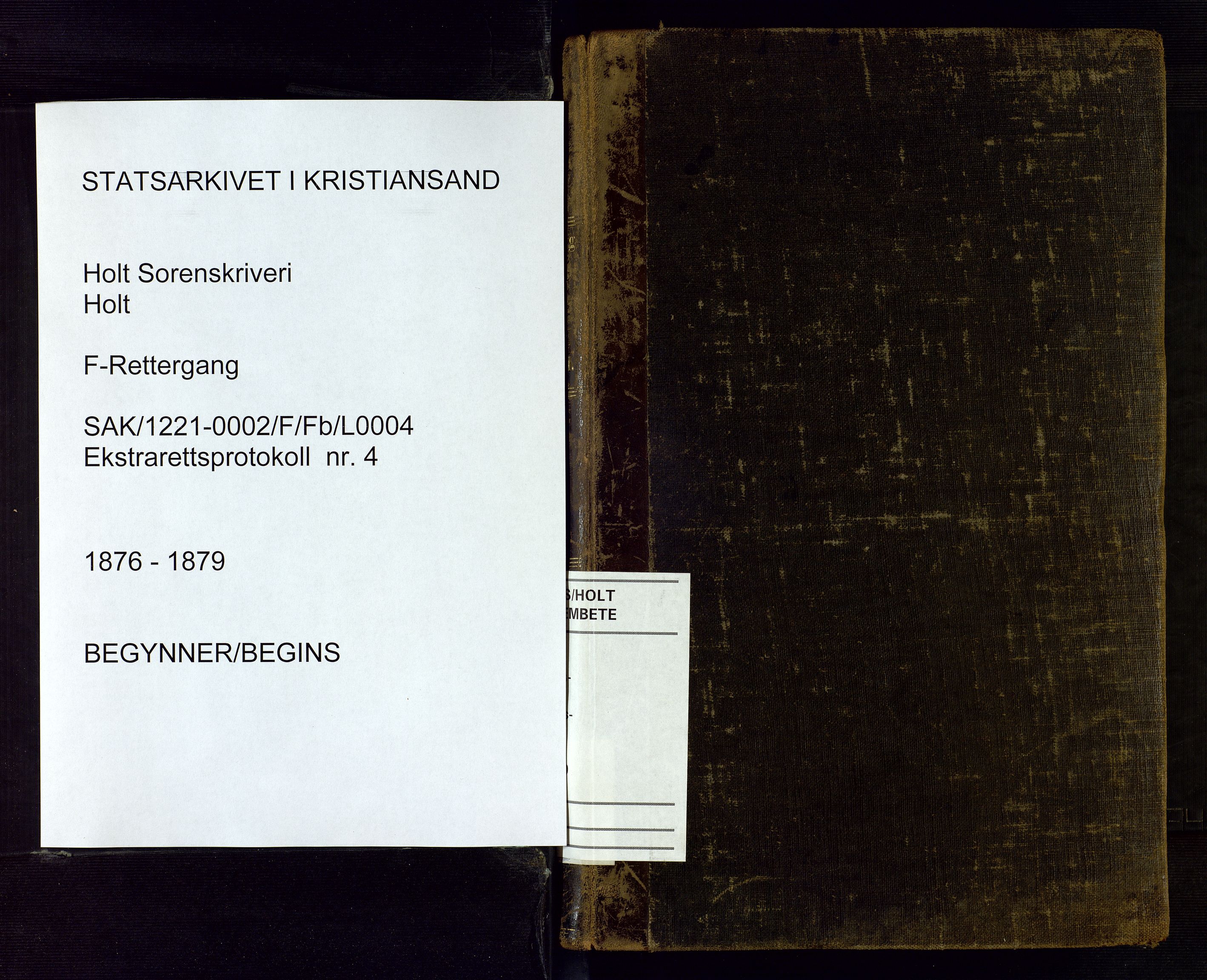 Holt sorenskriveri, SAK/1221-0002/F/Fb/L0004: Ekstraretts- og forhørsrettsprotokoll nr 4, 1876-1879