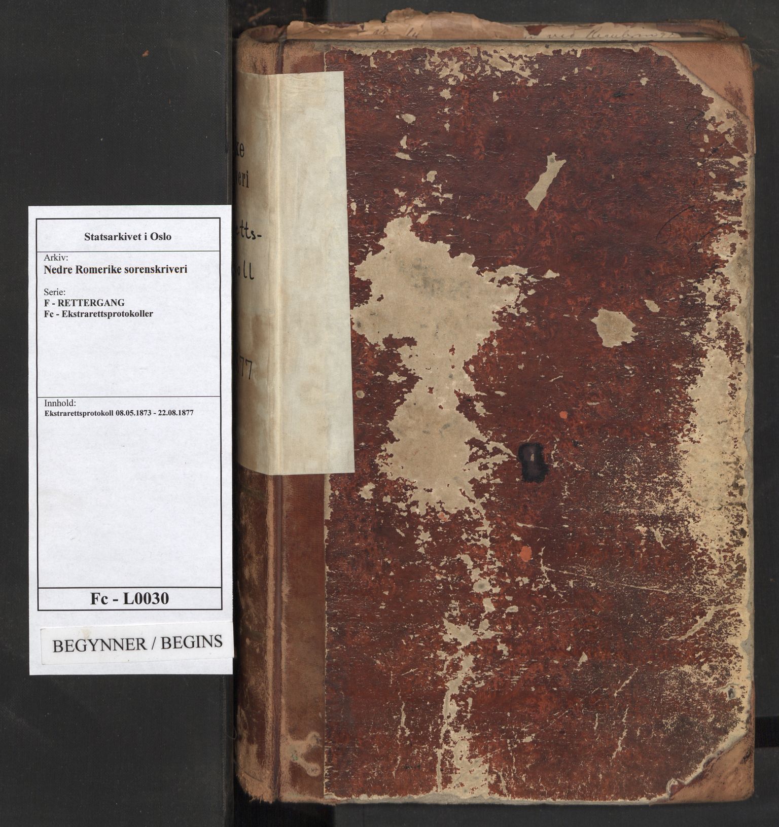 Nedre Romerike sorenskriveri, SAO/A-10469/F/Fc/L0030: Ekstrarettsprotokoll, 1873-1877