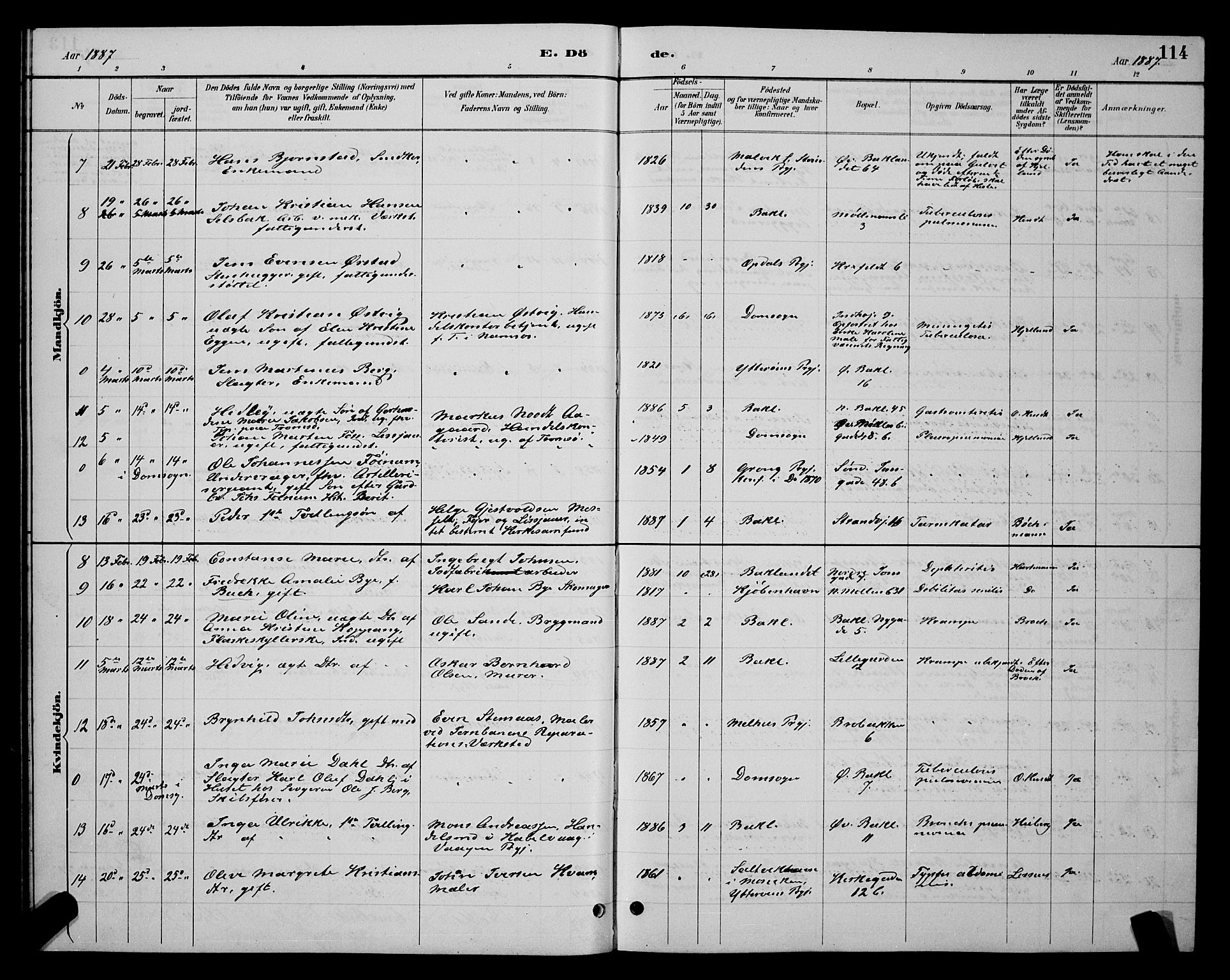Ministerialprotokoller, klokkerbøker og fødselsregistre - Sør-Trøndelag, AV/SAT-A-1456/604/L0223: Klokkerbok nr. 604C06, 1886-1897, s. 114