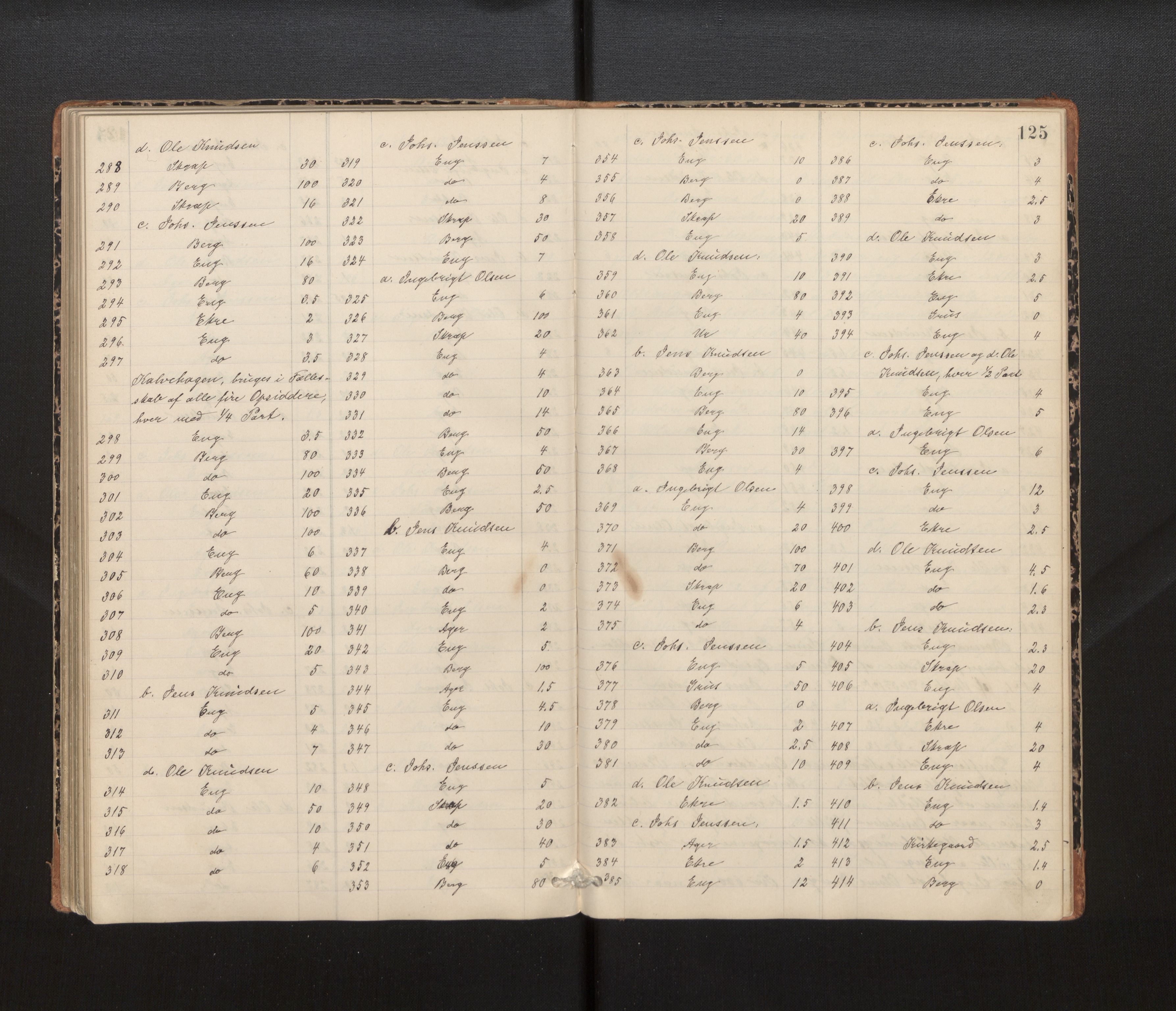 Hordaland jordskiftedøme - IV Hardanger jordskiftedistrikt, AV/SAB-A-7101/A/Aa/L0013: Forhandlingsprotokoll, 1890-1894, s. 124b-125a