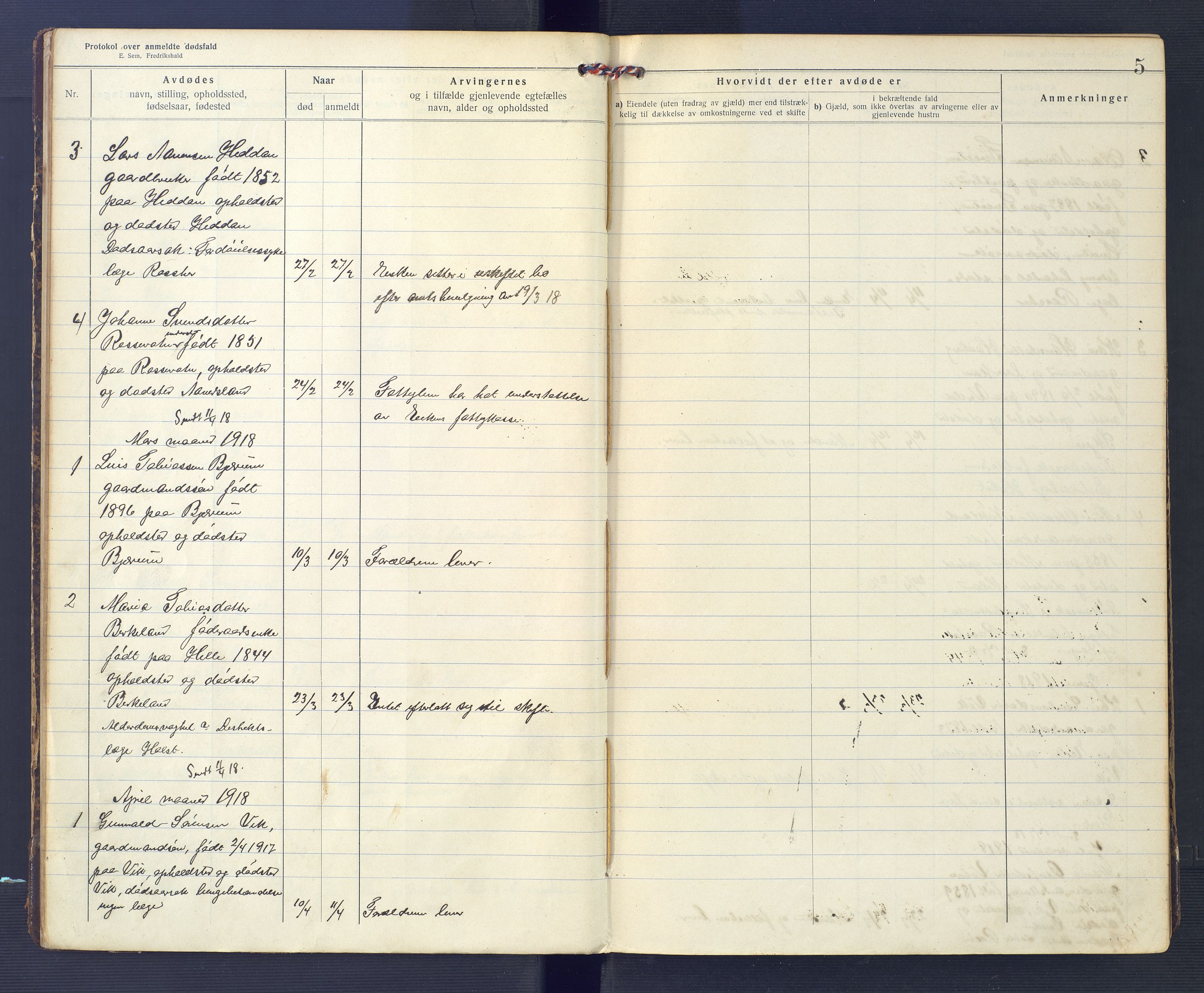 Hægebostad og Eiken lensmannskontor, AV/SAK-1241-0023/F/Fe/L0002: Dødsfallsprotokoll nr 34, 1917-1932, s. 5