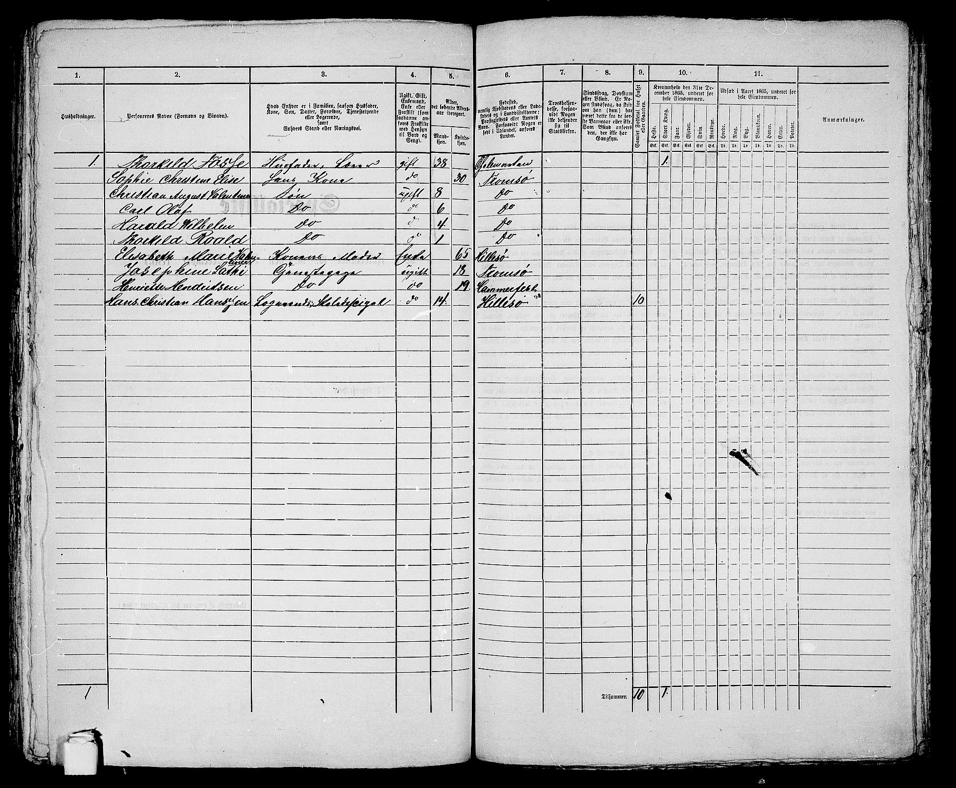 RA, Folketelling 1865 for 1902P Tromsø prestegjeld, 1865, s. 202