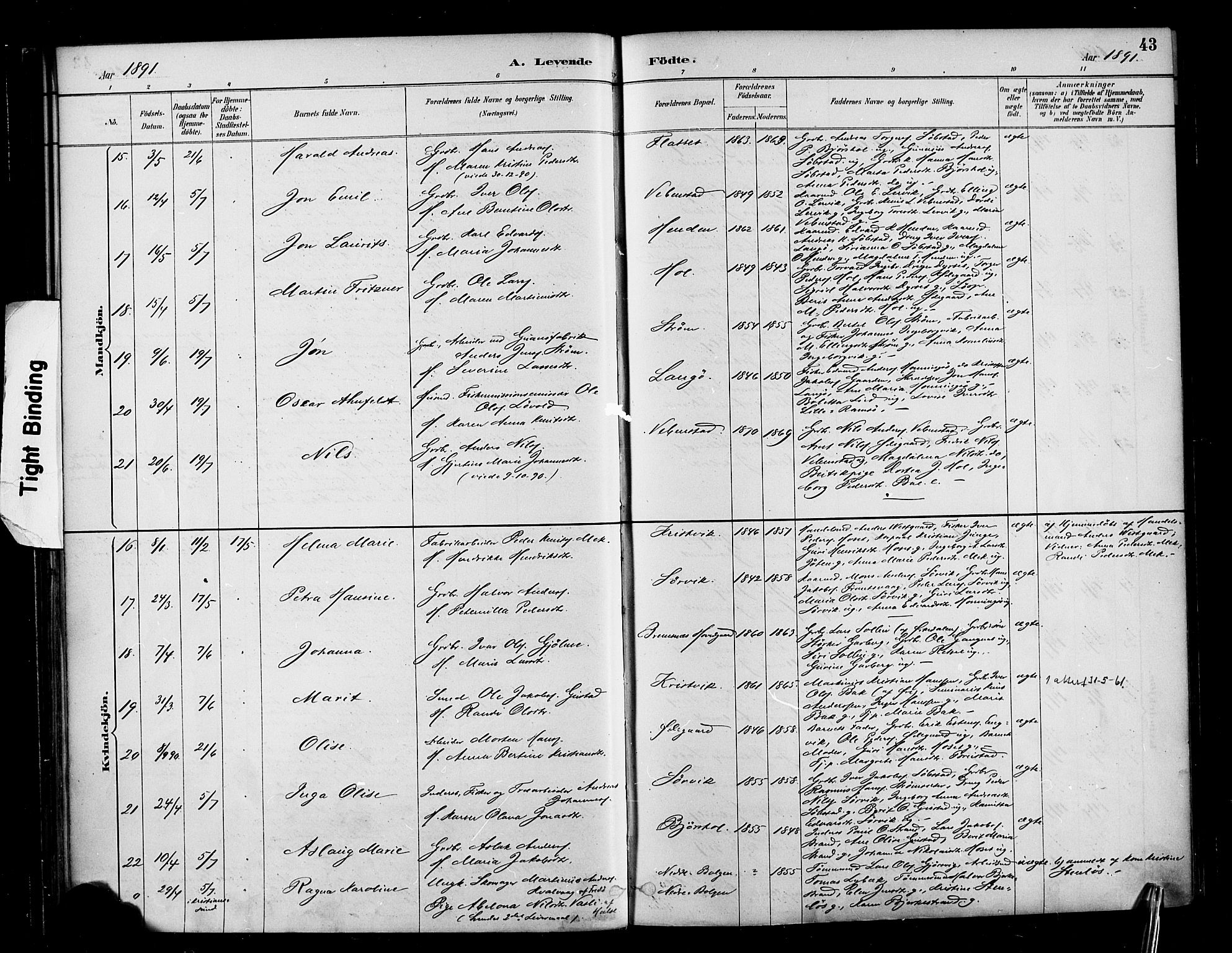 Ministerialprotokoller, klokkerbøker og fødselsregistre - Møre og Romsdal, AV/SAT-A-1454/569/L0819: Ministerialbok nr. 569A05, 1885-1899, s. 43